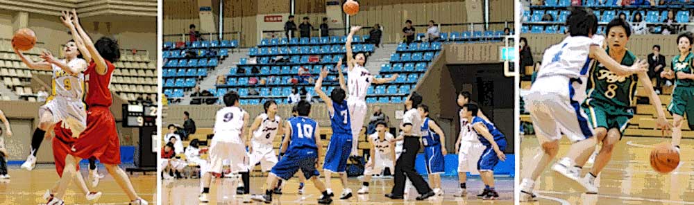 北海道 バスケットボール 協会